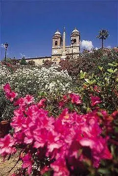 Meditur بوميتْسْيا